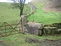 The old gateposts from the demolished Chapelton House lying near the Chapel Hill. The drystone dykes in the background were built with stones from the old house.