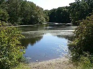 View of the river