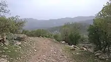 Image 17Iranian oak scrub in the Zagros Mountains (from Montane ecosystems)