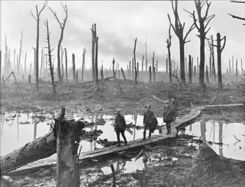 Image 17PasschendaelePhoto credit: James Francis HurleySoldiers of an Australian 4th Division field artillery brigade on a duckboard track passing through Chateau Wood, near Hooge in the Ypres salient, October 29, 1917. The photo was taken in the vicinity of the Battle of Passchendaele, also known as the Third Battle of Ypres, which was one of the major battles of World War I.More selected pictures