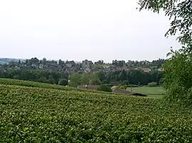 A general view of Cheilly-lès-Maranges