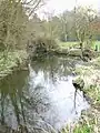 River Chelmer at Howe Street