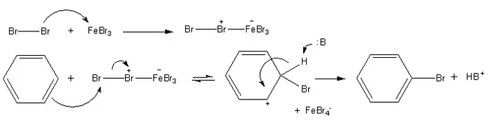 The mechanism for bromination of benzene