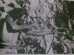 Chenchu man hunting, Nallamala Forests, Andhra Pradesh.