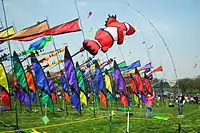 Blossom Kite Festival, March 31, 2012