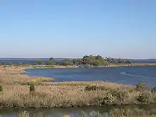 Image 21Tidal wetlands of the Chesapeake Bay, the largest estuary in the nation and the largest water feature in Maryland (from Maryland)