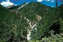 A small stream flows through steep and forested hills below a blue sky with several white clouds.