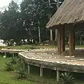 Horses near the cabins