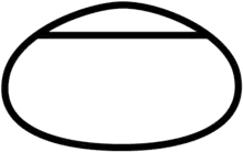 Layout of Chicagoland Speedway