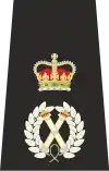 Chief Constable