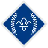 The Chief Scout's Diamond Award badge