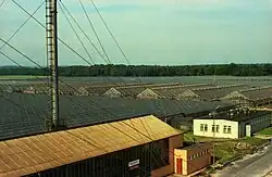 Greenhouses in Chróścina in 1980