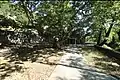 Courtyard of the Church of Assumption with plane trees. Karyes, Laconia