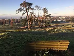 Image of Churchill Park looking south