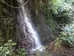 waterfall at bamboutos