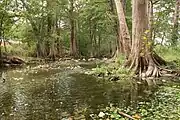 Cibolo Creek at Cibolo Nature Center