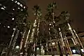 Circle of Palms Plaza and Fairmont at Night