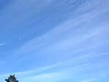 Long, thin, straight cirrus against a blue sky on the left merging to cirrocumulus on the right