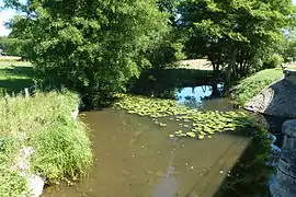 The Clauge, a tributary of the Doubs