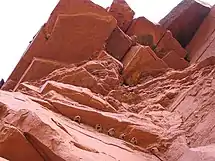 Cliff swallow nests in Utah, USA