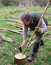 Clive Leeke teaching a hedge laying course