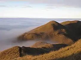 Mount Pulag summit and sea of clouds