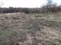 Site of Jewish cemetery from before the war