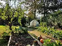 Vegetable garden