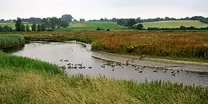 River Stour passing through Dedham Vale