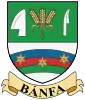 Coat of arms of Bánfa