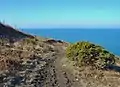 The coastal path on Cemaes Head