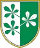 Coat of arms of Municipality of Kidričevo