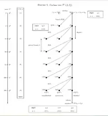 Coclass1Tree2Groups