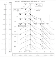 Coclass1Tree5Groups