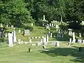 Cold Springs Cemetery, June 2009