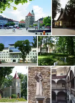 Top left: Market square with cathedral bell towerTop right: Holy Cross ChurchMiddle left: Beskid Wyzsza UniversityMiddle right: Zamkowy ParkBottom left: Saint Mark ChurchBottom middle: Monument of Pope John Paul IIBottom right: Old Castle