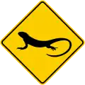 SP-49 Lizard crossing