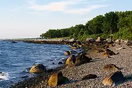 Shoreline at the park