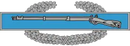 Combat Infantryman Badges