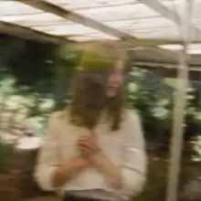 A blurry photograph of the artist stood inside a greenhouse.