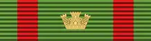 Commendatore dell'ordine al merito della Repubblica italiana - ribbon for ordinary uniform