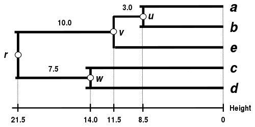 WPGMA Dendrogram 5S data