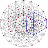 2{4}3{3}3,  has 54 vertices, 216 simple edges, and 72 faces, with one face highlighted blue.