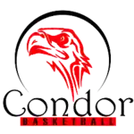 Condor logo