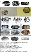 Comparison of the Mont’e Prama Scarab