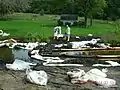 A crew picking up contaminated soil along the banks of the Kalamazoo River