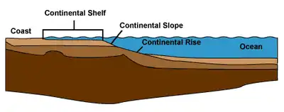 Image 51Profile illustrating the shelf, slope and rise (from Demersal fish)