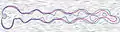 Averages and ±1 standard deviation of the fields gives results that are not geometrically correct (consistent with no simulation) and misestimates the possible positions of contours (rendered over a line integral convolution visualization of the flow).