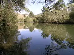 Image 7A pensive Cooplacurripa River, NSW (from River ecosystem)