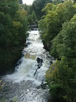 Corra Linn